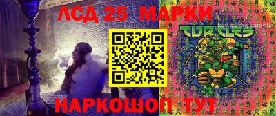 молекула духа Можга