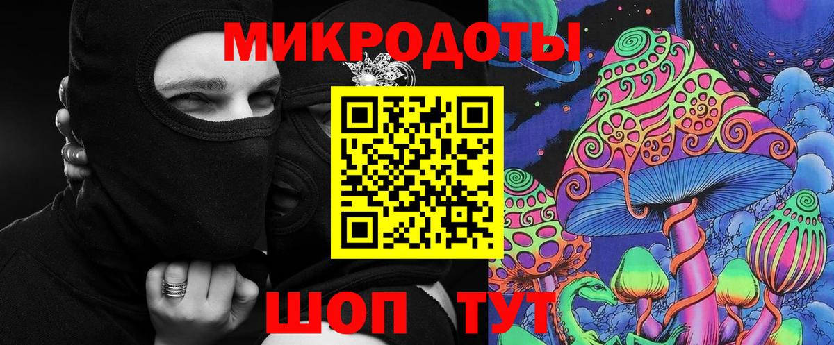 Галлюциногенные грибы Cubensis Тимашёвск